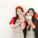 동행 애견 돌봄 센터 부산점 강아지 고양이 무료분양 | 부산강아지분양 함께하는 미유펫 후기