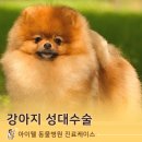 이웃집 동물병원 이미지