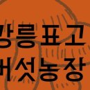 강릉표고버섯농장 농업회사법인 주식회사 | 표고버섯! - 강원 강릉ㅣ대관령 고랭지 솔송고버섯ㅣ솔송고버섯 문의ㅣ강릉표고버섯농장농업회사법인...