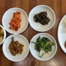 시탕뿌리 이미지