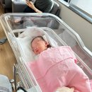 태평의료기 | R'baby 14. 태평이 보는 날 (이대 서울 병원, 선택 제왕 후기)