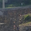 화수목펜션