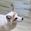 마리앤쥬 이미지