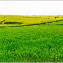 청록농장 이미지