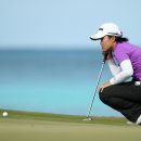 퓨어 카카오 검색결과