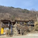 산에는꽃이피네 - 25125 | 산에는꽃이피네