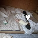 궁민박 네이버블로그