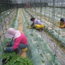 무지개농장1 이미지