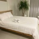 아날로그 스테이 이미지