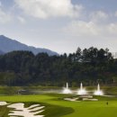 더플레이어스골프클럽 이미지