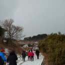 (820차) 보령 원산도 오로봉(116m), 증봉산(102m), 안면도 수목원 이미지