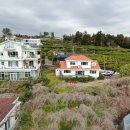 서호동-2 이미지