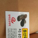 원라인코리아 이미지