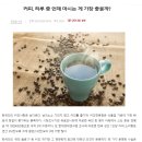 매일 커피 마시는 한국인 덕분에 신난 이 나라? 마을 전체가 커피 수출로 먹고산다. 인도네시아의 커피 농장│커피 수출 과정│ 이미지