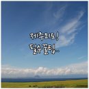 이호세탁소