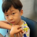 (주)점핑파크 이미지