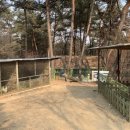 명봉산솔밭관광농원오토캠핑장 이미지