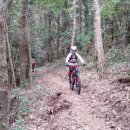 표선교차로 이미지