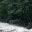 몬티첼로1 | 평창 여행 숙소 풀빌라 몬티첼로 펜션 다녀온 후기!