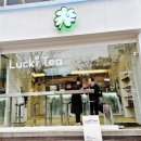 지.티.캐릭터 | 보문역 카페 러키티 - 성신여대 밀크티 전문점