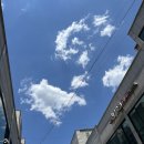 경주 혼자여행 7탄 :: 블루보트 게스트하우스 후기, 경주 기념품 황남빵/최영화 빵, 경주 추억의 캔모아