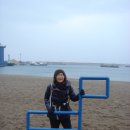 화순금모래해변 Daum카페