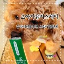 강아지선물추천 1순위, 이유 있는 인기템 &#39;오아가뮤커스케어&#39; 솔직 후기