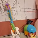 몸 편한 세상 이미지