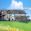 은파수상레저 | 군산 은파호수공원 벚꽃 올해 마지막 벚꽃놀이