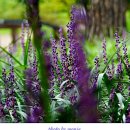 새암공원(3) 이미지