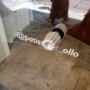 성수 베이커리 : oLLo_올로(올리브 타프나드 샌드위치, 베이컨 할라피뇨 샌드위치, 밤꽃꿀 세사미...