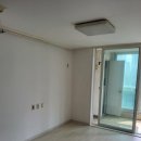 오늘은 특별하개 이미지