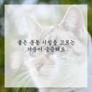 운동의 발견 이미지