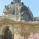 파리 프티팔레 petit palais 입장 전시 후기 | cafe 1902 |사진 꿀팁