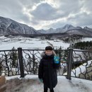 스테이 태연 이미지