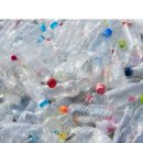 8월 3주 주간통신문 이미지