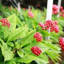 진생농장 이미지