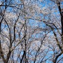 안산 노적봉 &amp; 성호조각공원 이미지