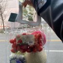 푸릇 이미지
