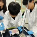 인천청호중학교 이미지