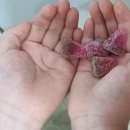 은동어린이집 이미지