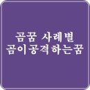 곰꿈 풀이 사례별 곰이 공격하는 꿈 의미 이미지