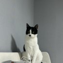 제주대항외과의원 이미지