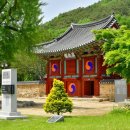 장성군청 광장 이미지