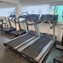 파인드 미 짐 이미지