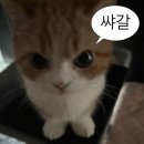 바른삼겹&아바이국밥 | 2 - 3 같이 놀 거야 ?