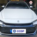 크라운덴트 이미지