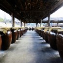 소주나라 이미지