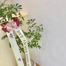 다잇댕 이미지