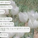 숙희네왕만두 - 중구 해오름2길 1 | 5月 休日